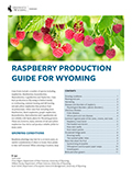 Raspberry Production Guide for Wyoming cover