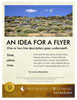Flyer - Bottom Banner