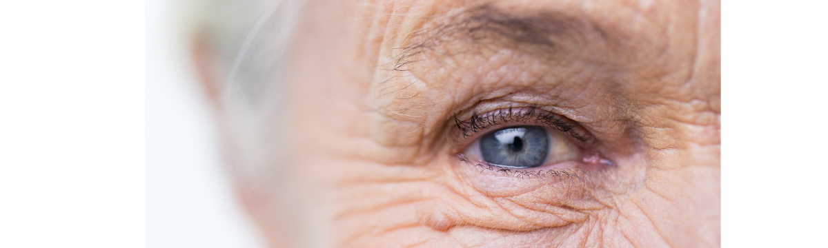 Close up an eye