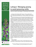Larkspur: Managing grazing to avoid poisoning cattle cover