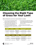 Choosing the Right Type of Grass for Your Lawn cover