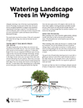 Watering Landscape Trees in Wyoming cover