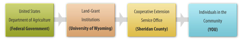 Cooperative Extension Flow Chart