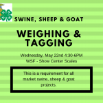 Weighing & Tagging - Goat, Sheep & Swine