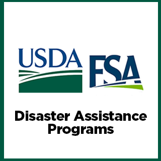 USDA Farm Service Agency Disaster Assistance Programs logo with green and blue design elements.
