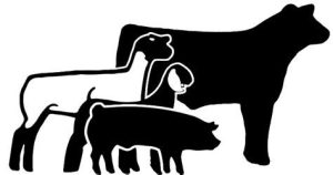 Profile view of a steer, lamb, goat, and hog.