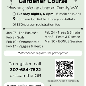 Flyer with the same information as the event description and featuring a soft, green background and plant motifs.