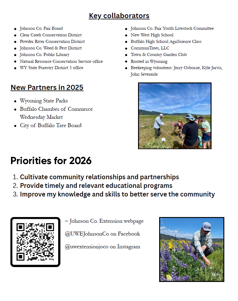 Page 2 of the Year in Review 2025. Click the link in this post to access a pdf version.