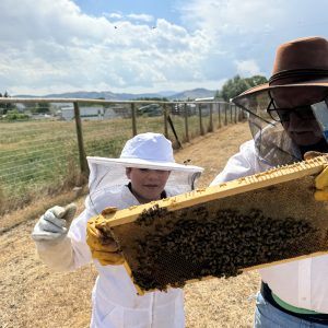 A 4-H member and bee mentor check a frame of honeybees.