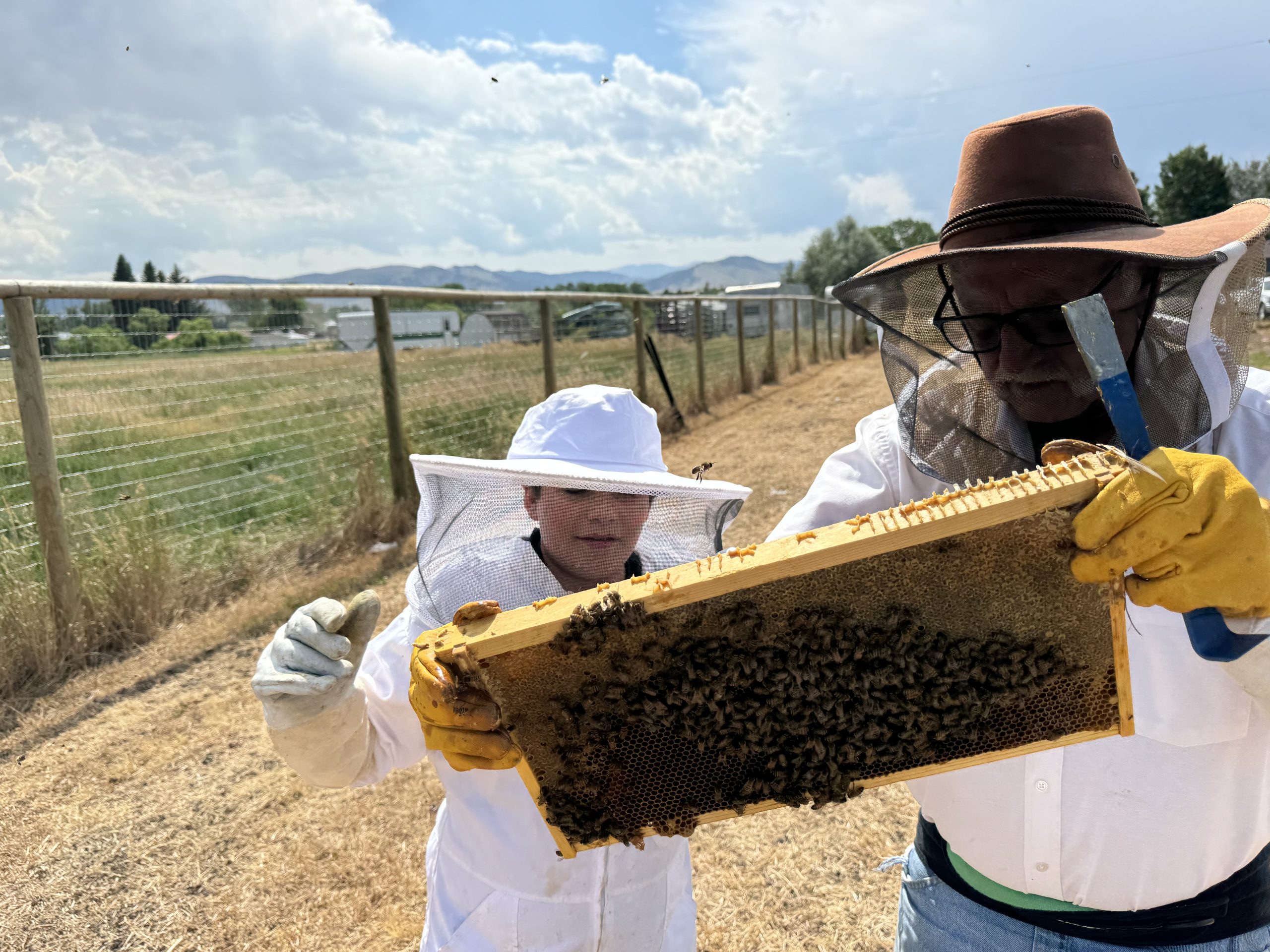 A 4-H member and bee mentor check a frame of honeybees.