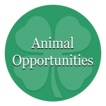 Animal Opportunities