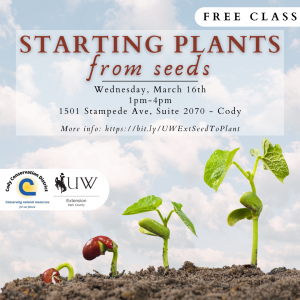 Picture of plant in various stages of growth. Text: Free Class. Starting Plants from seeds, Wednesday March 16th, 1pm to 4pm at the Park County Complex in Cody, 1501 Stampede Ave Suite 2070. For more info, visit .https://bit.ly/UWExtSeedToPlant. Cody Conservation District and University of Wyoming Park County Extension logo included