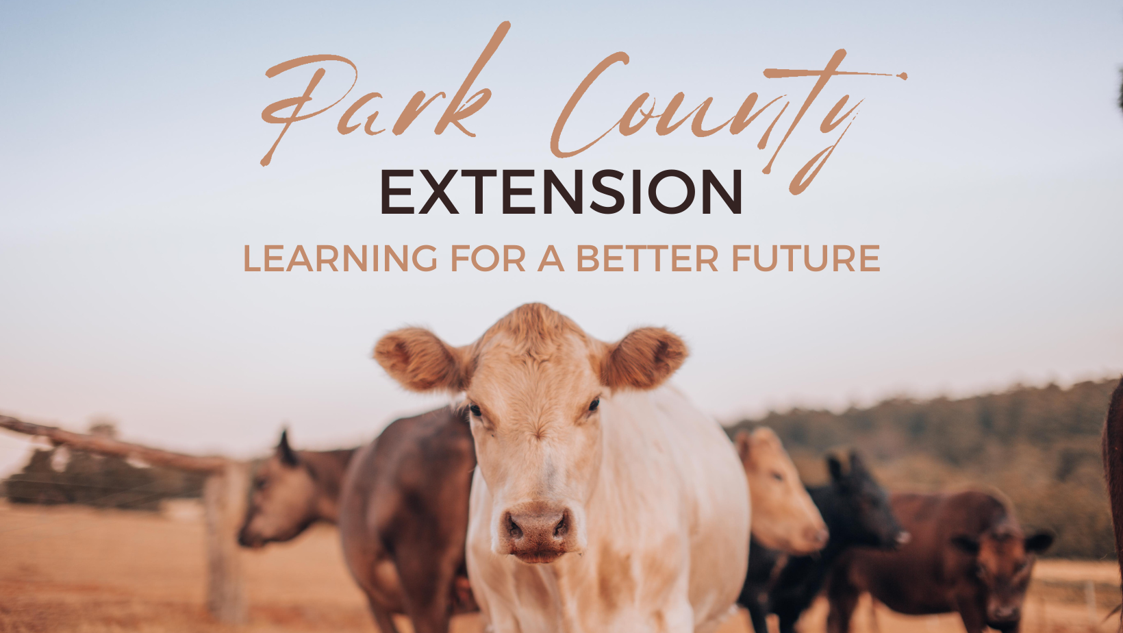 Park County Extension