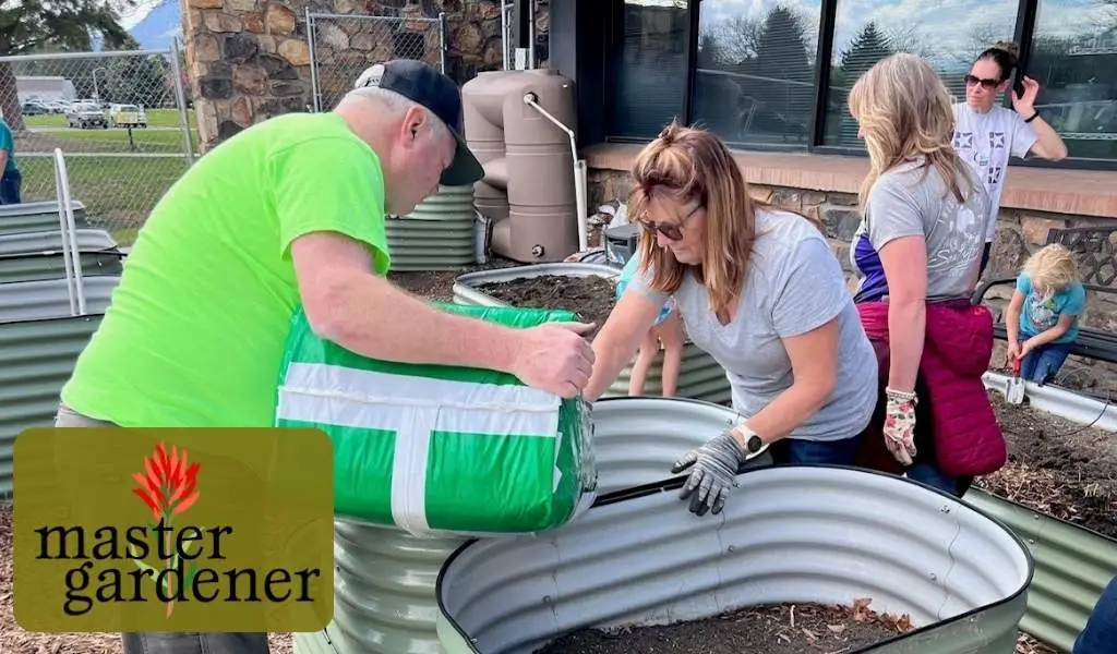 People setting up garden beds with master Gardener logo in corner