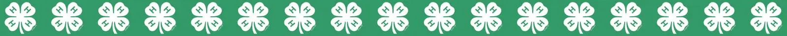 4-h clovers