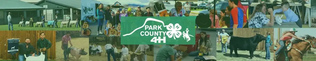 4-h collage of kids with their projects