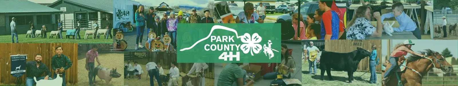 4-h collage of kids with their projects