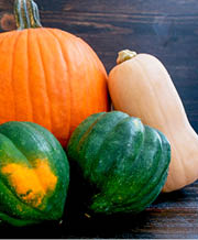 Grouping of orange pumpking, beige butternut squash and two green acorn squashes 