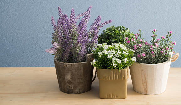 Four pots with potted plants on a table 