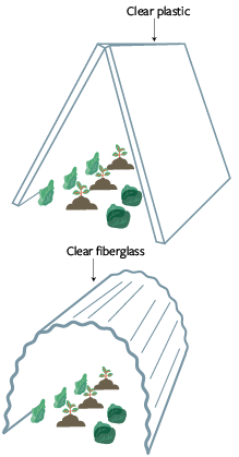 triangle tunnel made from clear glass (top) and garden tunnel from clear fiberglass (bottom)