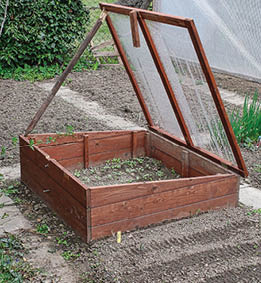 Wood cold frame with seedling  Lid is propped open 