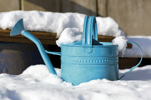 Blue watering can sitting in the snow 