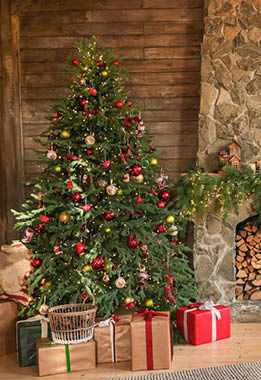 Christmas tree with packages in a rustic cabin 
