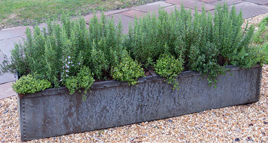 rectangular metal planting container on a gravel bed