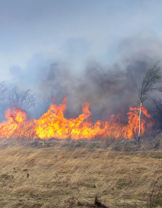 Evaluating fireline effectiveness across large wildfire events in  north-central Washington State, Fire Ecology