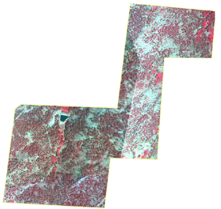 Aerial view of research site with large red patches 
