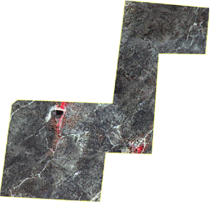Same vegetation aerial map with very little red showing 