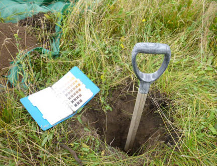 Shovel handle sticking up out of muddy hole with green grasses surrounding it 