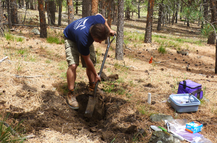 Student digging shallow hole with spade in a forest clearing 