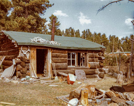 A rustic  small log cabin with green roof and antlers on the roof  sitting in a small clearing with firewood scattered about 