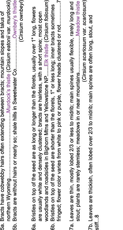 5a  Bracts have cobwebby hairs often extending between bracts; mountain slopes and talus of    northern Wyoming         