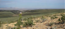 A wide view of uplands of shale and sandy clay with sageprush and thistles  