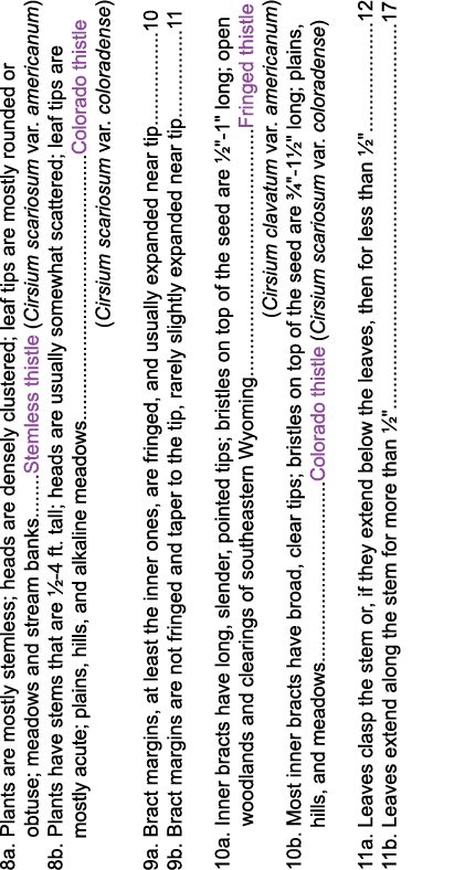 8a  Plants are mostly stemless; heads are densely clustered; leaf tips are mostly rounded or    obtuse; meadows and s   