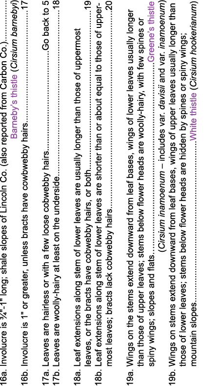 16a  Involucre is    -1   long; shale slopes of Lincoln Co  (also reported from Carbon Co )                  Barneby    