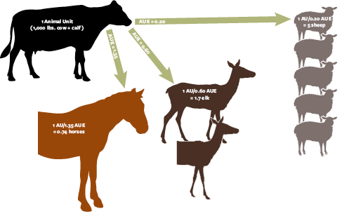 Graphic showing the AUE for horses  elk  and sheep relative to a single AU 