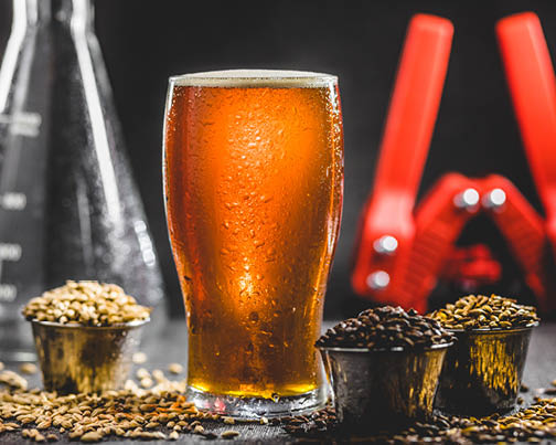 Beer in clear glass surrounded by various grains