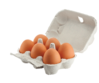 6 brown eggs in carton