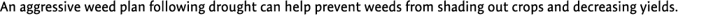 An aggressive weed plan following drought can help prevent weeds from shading out crops and decreasing yields. 