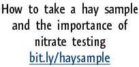 How to take a hay sample and the importance of nitrate testing  bit.ly/haysample