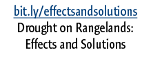 bit.ly/effectsandsolutions Drought on Rangelands: Effects and Solutions 