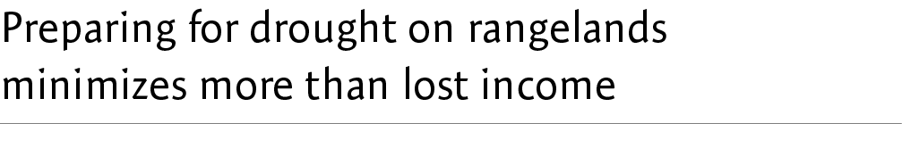 Preparing for drought on rangelands minimizes more than lost income