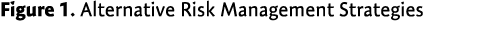 Figure 1. Alternative Risk Management Strategies
