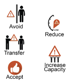 Graphic representation of alternative risk management strategies