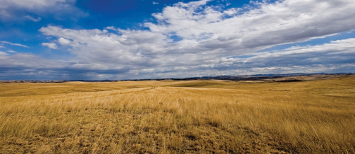photo of grass prairie