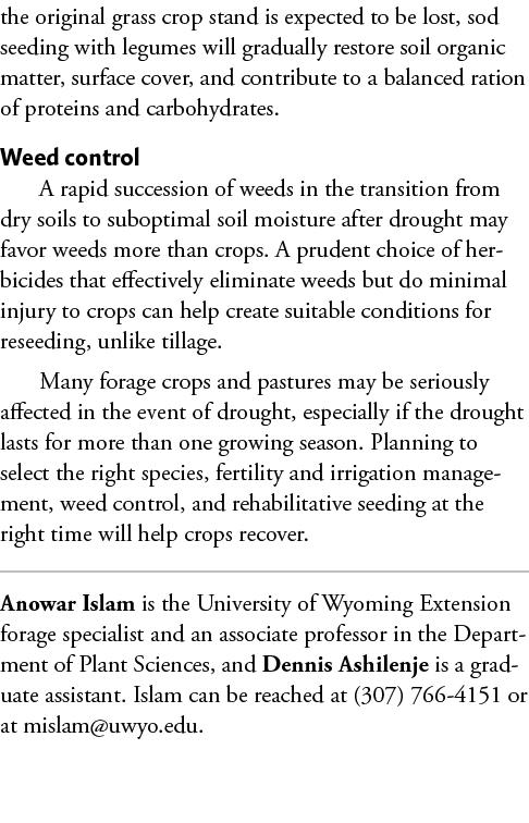 the original grass crop stand is expected to be lost, sod seeding with legumes will gradually restore soil organic ma...