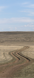 photo of road through dry grass hills